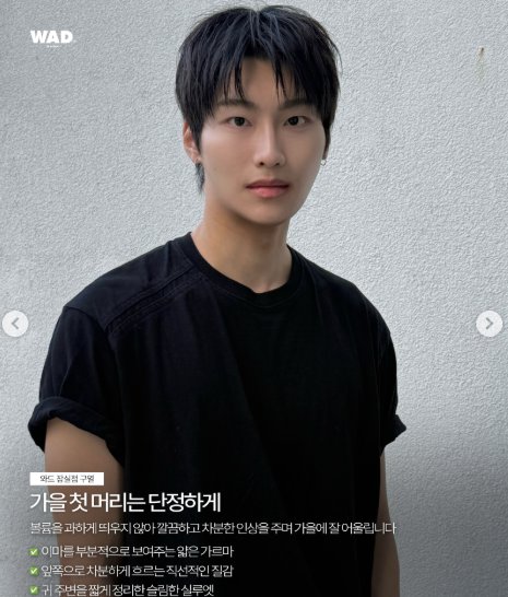 헤어스타일을 소개하는 뷰티 콘텐츠 레퍼런스